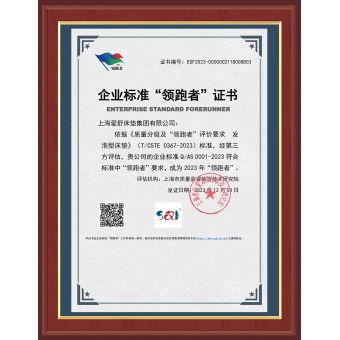 企業(yè)質(zhì)量標(biāo)準(zhǔn)“領(lǐng)跑者”